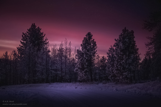 “You are my fantasy on a cold dark night, my muse during the light of day and the one wish my soul would make” ~Grace Willows