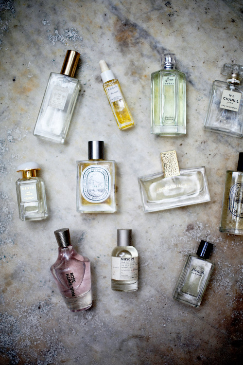 hawaiiancoconut:Perfume Still Life #1. 