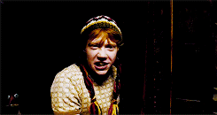Get To Know Me[1/5] Favourite Movies: Harry Potter Series