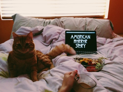 raysofthesun:  My Fridays~ 