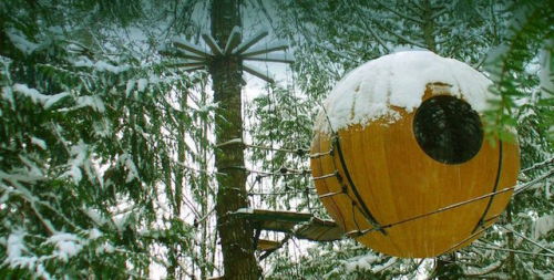 thedesigndome:Hotels Shaped as TreehouseWe have all wanted a treehouse in our childhood days, our ow