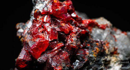 emeraldcityminerals: Red translucent realgar (As4S4) on matrix. From Getchell Mine, Adam Peak, Potos