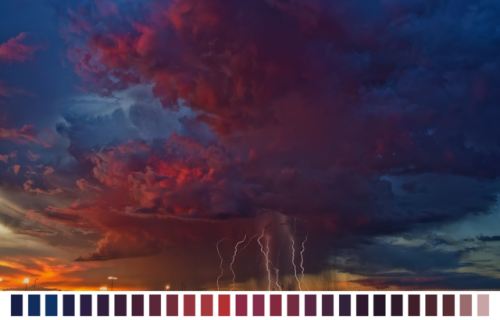 naturalpalettes:  Photo by Steven Maguire