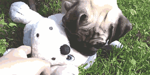 pugsequalsdrugs:[x]