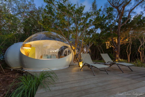 Bubble Lodge: A Chic Stargazing Retreat on Mauritius’ Largest Tree PlantationScattered amid a 