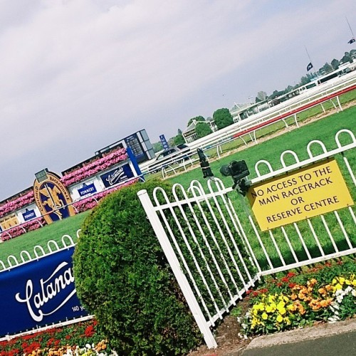 Driverless SLR’s @mrctracknews #springracingcarniva (at Caulfield Races - Members Section)