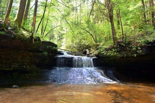 Day trip to Red River Gorge in KY! Creation Falls, Princess Arch, and Chimney Top Rock.