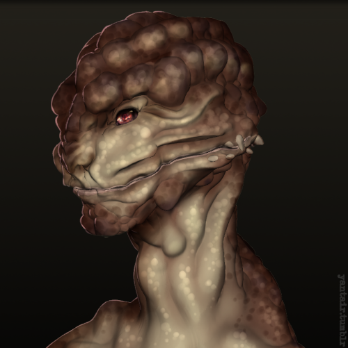 Improved mouth. Based off the toad-head agama. So yes, they actually do the cheek flare thing.S