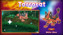 lostinkanto: Alolan fire starter Pokémon Litten -> Torracat -> Incineroar 