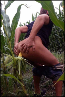 funandphotos:  There’s a reason they call it ‘corn-holing’.
