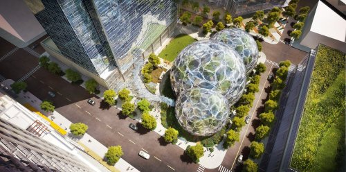 techinsider:
“ Amazon is building these weird but totally awesome treehouse orbs 🌐🌳 This is WAY better than the cubicle life.
This treehouse orb being built by Amazon in Seattle, Washington will house 800 people amidst 20,000 plants. The pentagonal...