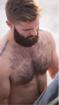 Hot For Hairy Men