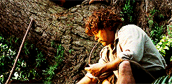 lady-arryn-deactivated20140718:  ✥  3. Three is Company:   “A fox passing through