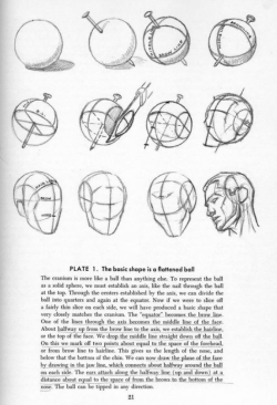 deepredroom:   How to draw heads. Good advice. I used to draw the head as one shape, put splitting it up into two, the cranium and the jaw, makes getting the shape right much easier. 