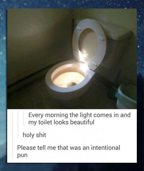 itsstuckyinmyhead:  Tumblr and Puns 