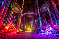 electricforestfest:    This is Sherwood Forest,