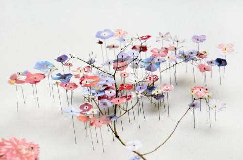 asylum-art:  Delicate Flower Constructions By  Anne Ten Donkelaarnetherlands-based artist anne ten donkelaar constructs her intricate flowerscapes using both real pressed flowers that she collects collaged with paper floral elements. the series of three-d