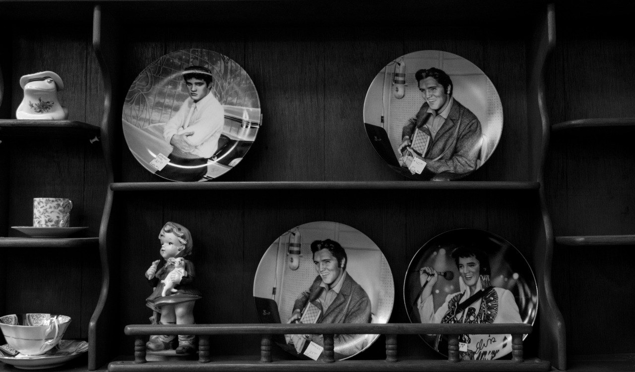 briandavidking:  Elvis Plates 