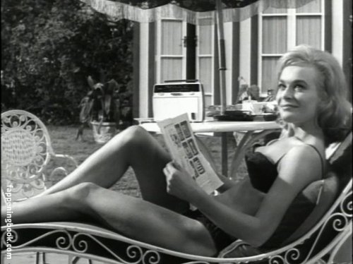 wholesalemoney:Shirley Eaton