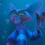 coolloserash