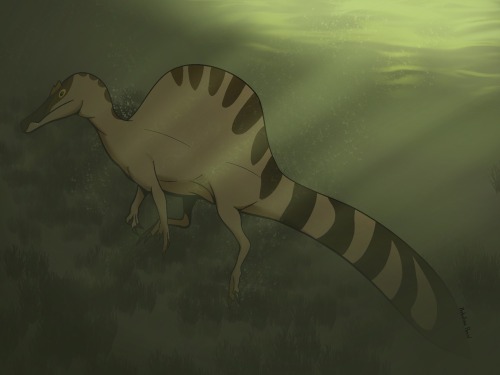 A Spinosaurus I Did While Playing Around With Backgrounds.