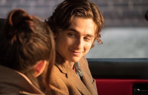 The Timothée Chalamet Cinematic Universe✨