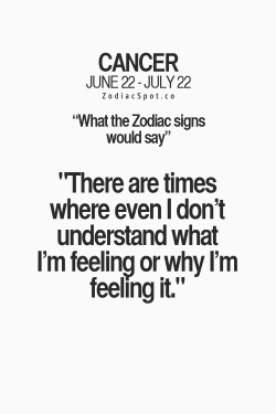 zodiacspot:  What would your Zodiac sign say?