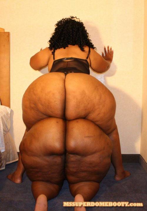 mikesosmoove23:  #ssbbwbooties #myfavs #damn #hugeass