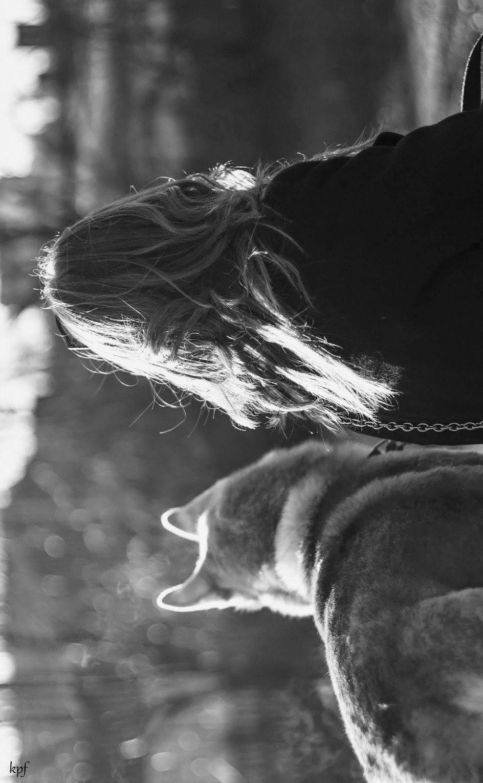 Hivernage