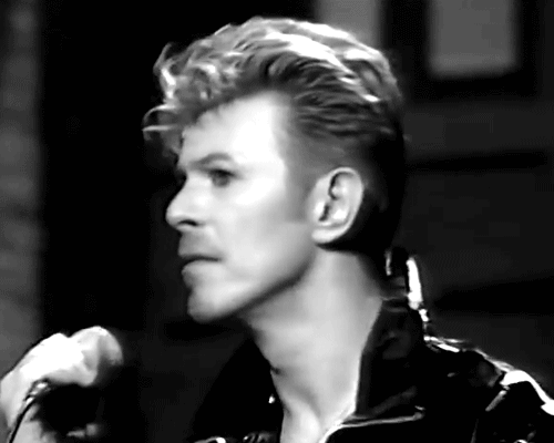 ★ BOWIEOLOGIST ★