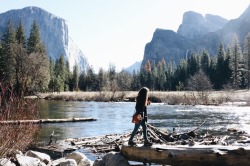 countrygirl2136:  nuhstalgicsoul:  No words can describe how incredible it is to experience camping in Yosemite National Park. Sleeping under the stars and waking up to towering granite walls and tremendous raging waterfalls is something so beautiful