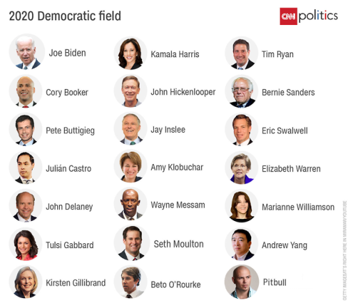 The 20 democratic presidential candidates #Pitbull2020