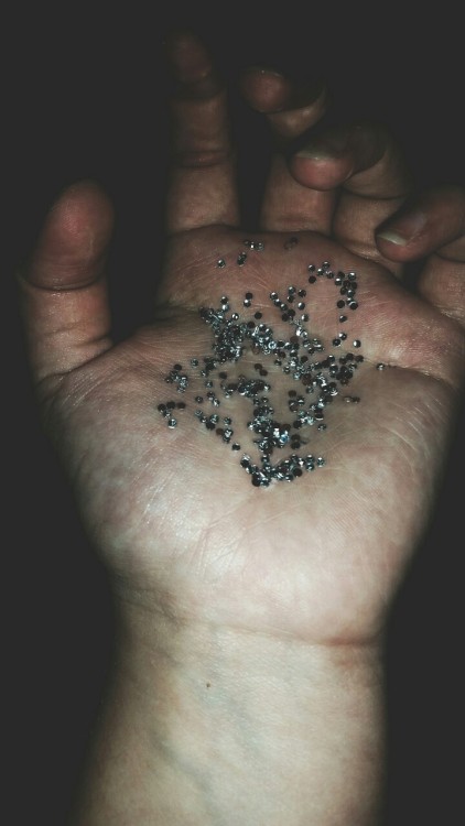 FREEDOM