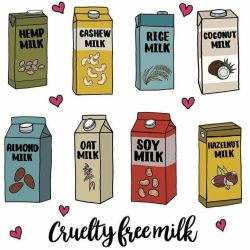 atreefullofstars:  rudescience:  leanaisnotabanana:  zoologicallyobsessed:   dairyisntscary:   poweredbyplantas:  Which one is your favorite? Mine is coconut milk! 🥥   Ah yes, cashew milk is definitely cruelty free     Almond milk also kills a ton