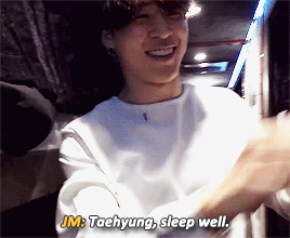 Jimin, The Sleep Fairy