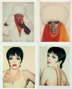 Andy Warhol Polaroids / Anatomika