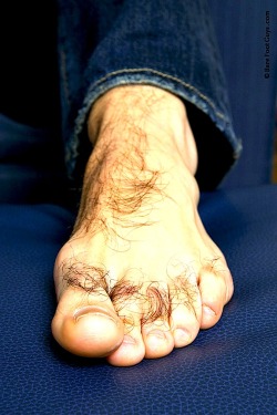 realmenstink: I LOVE BIG SMELLY HAIRY FEET !!!