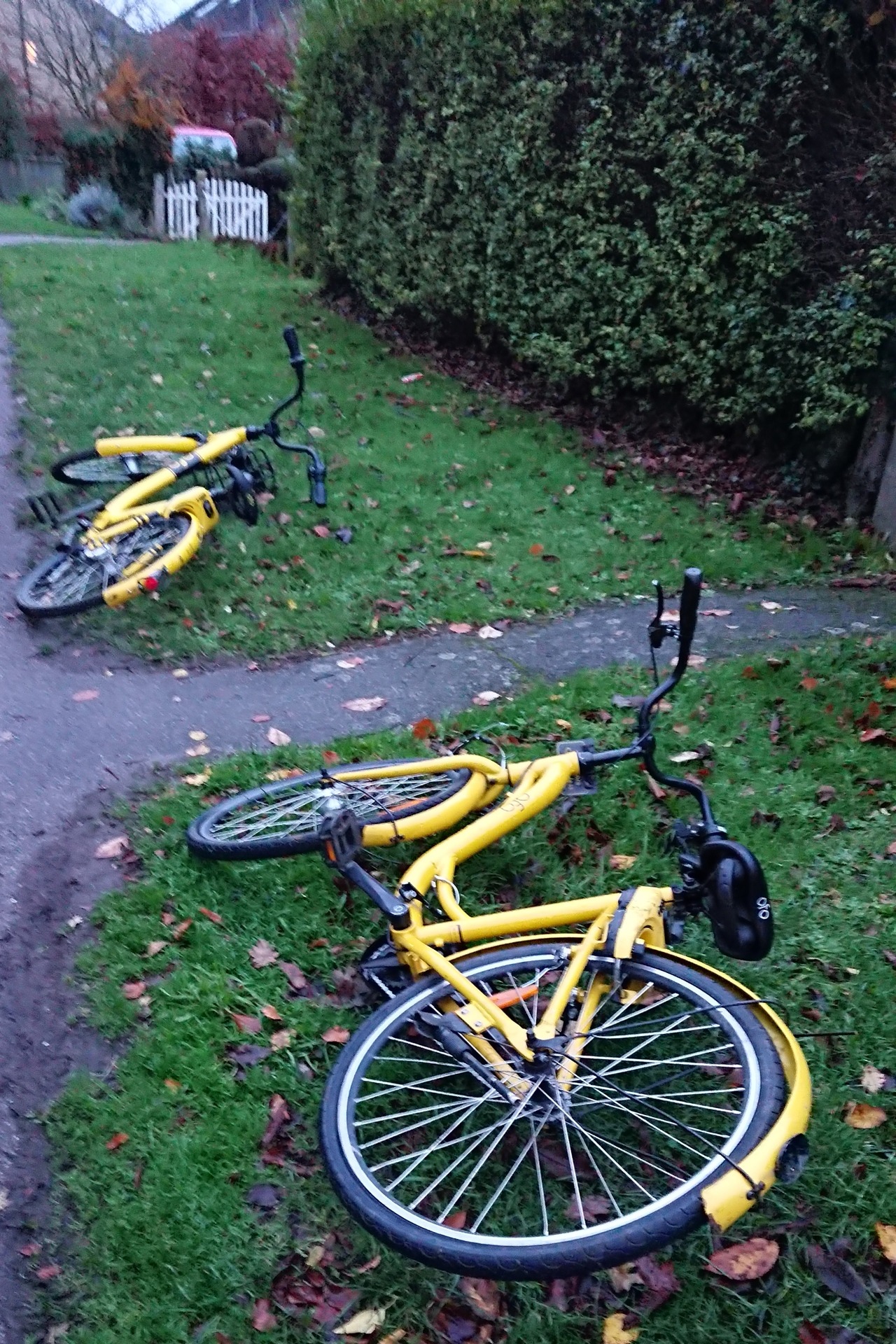 Thu 6 Dec 18: pls@ofo_bicyclesuk sort out your system. We see too many of your bikes dumped in Histon & Impington