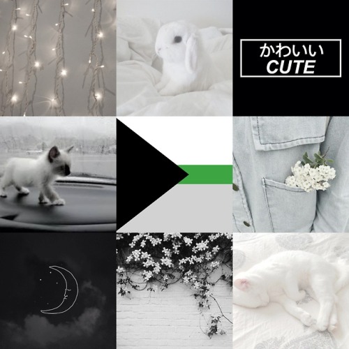 lowkey-mcgee: Demiromantic Cute Moodboard for anon! <3