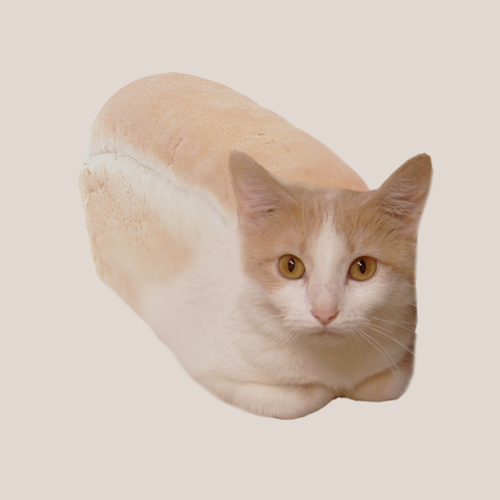 zaccharine:  honestly my favorite thing ive ever made in photoshop is catloaf  my graphic arts teacher hung it on the wall in the ga computer lab 