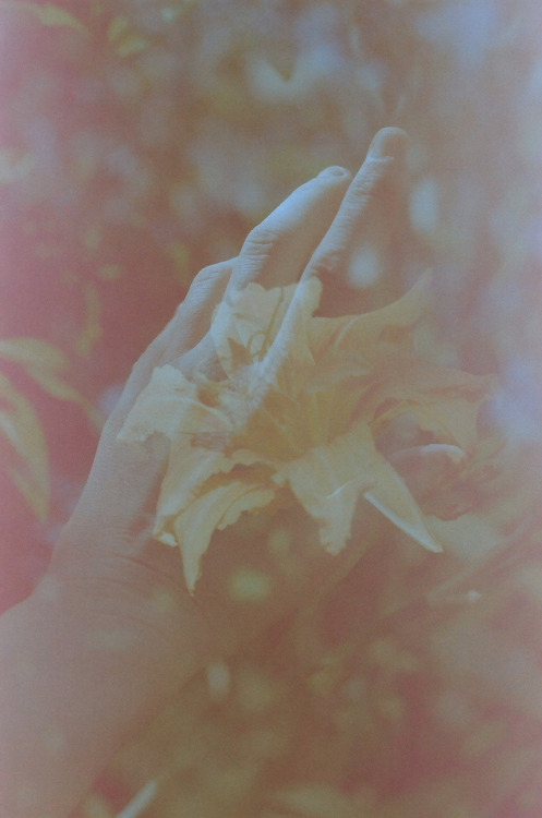 dcci: Lost in a Dream (double exposure captured in camera, no edits) Upstate NY | July 2019 Image sh