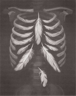 panda-rock-n-roll:  /u\ sur We Heart It - http://weheartit.com/entry/145598388 
