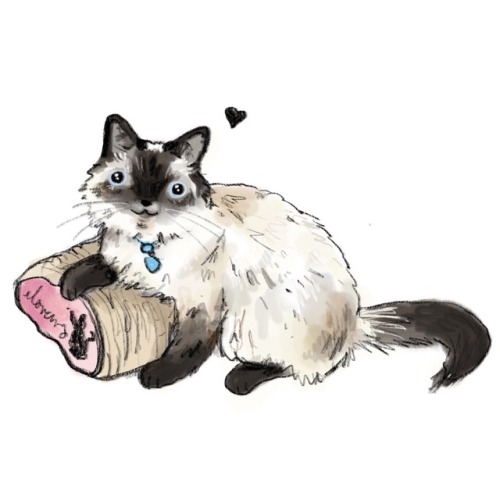 happy national cat day!! i draw a lot of dog commissions, but i draw cats too!