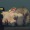 ulrich-of-the-ballerhorde: karanan: It’S FINALLY HERE Jesus Christ 