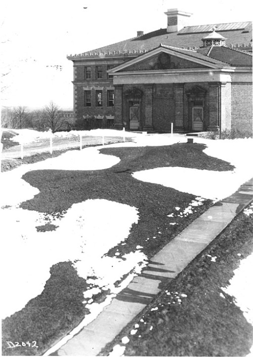 One of two extant effigy mounds in the Observatory Hill Mound Group, partially outlined by snow, beh