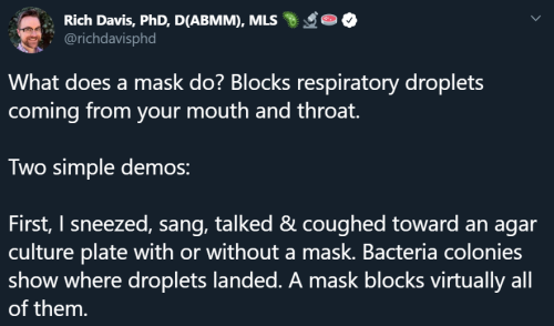 awed-frog: Just had my nth conversation with someone about mask-wearing today - yet another well-intentioned moron who was like  ‘But the virus is gone now’ (it isn’t)  ‘But the mask is uncomfortable’ (ventilators are worse) ‘But you’re