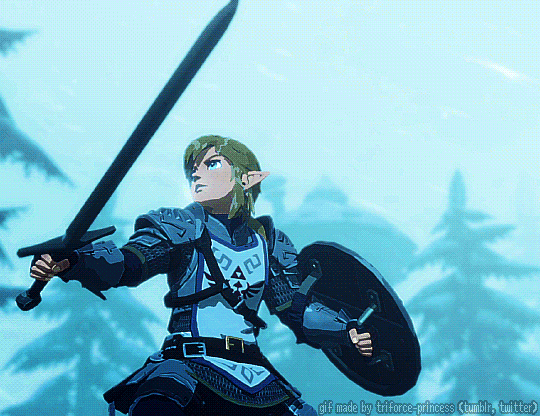 Fandomonium How To Play As Link In Dnd 5e 2 0