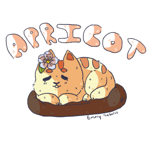 androgynouspaperdefendor: i’m in love with my new style, so i drew my favorite neko atsume cat