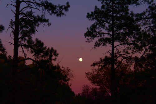 moon casts a shadow on the setting sun sky