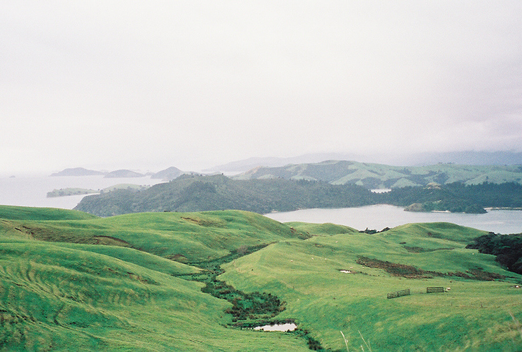 littlesquares:  New Zealand 